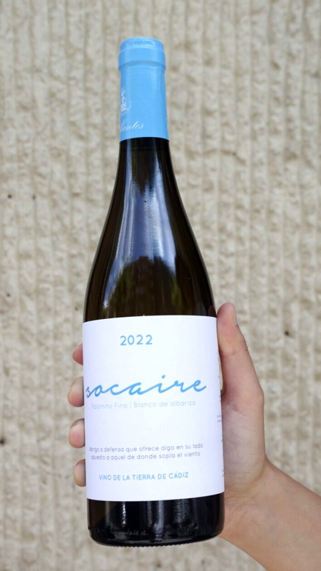 Socaire, vino de la terra di Cadice